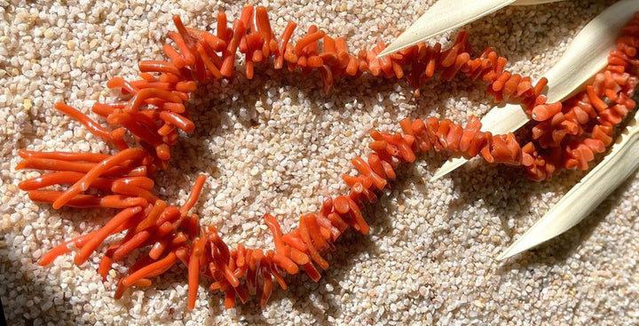 Coveted Coral: A History of the Use of Coral in Jewelry – Someday