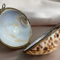 Vintage Cowrie Shell and Brass Jewelry and Keepsake Box