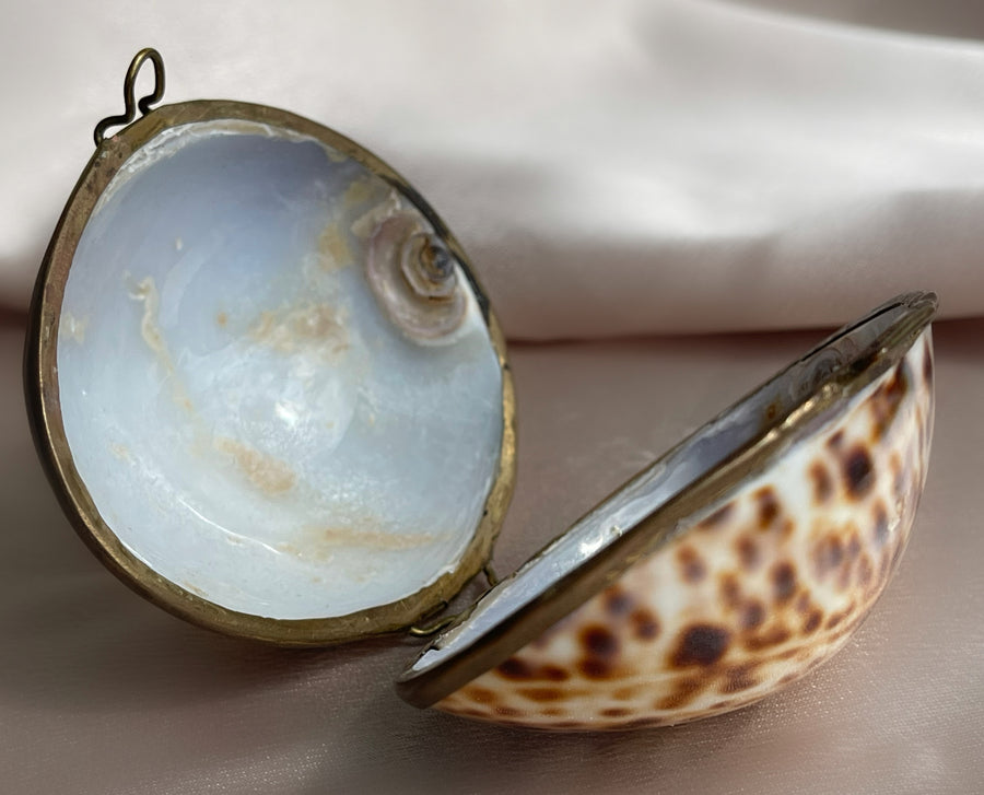 Vintage Cowrie Shell and Brass Jewelry and Keepsake Box