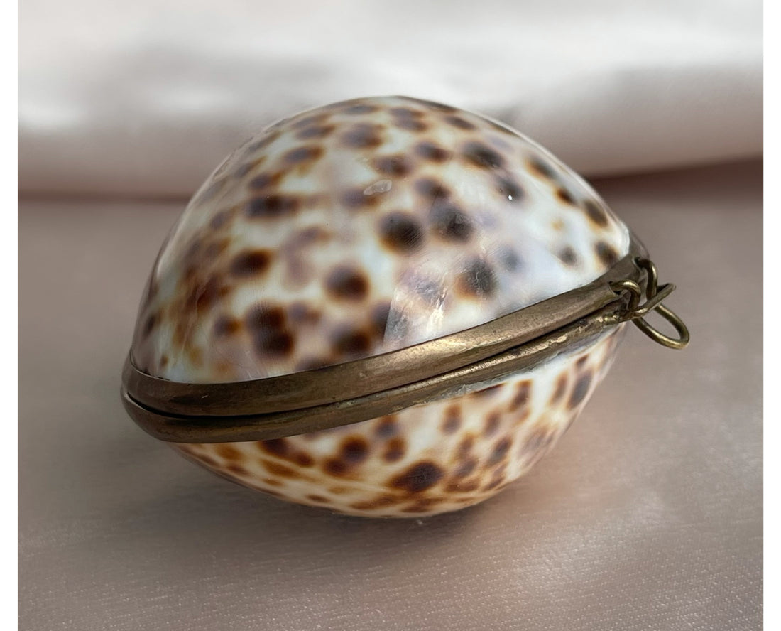 Vintage Cowrie Shell and Brass Jewelry and Keepsake Box