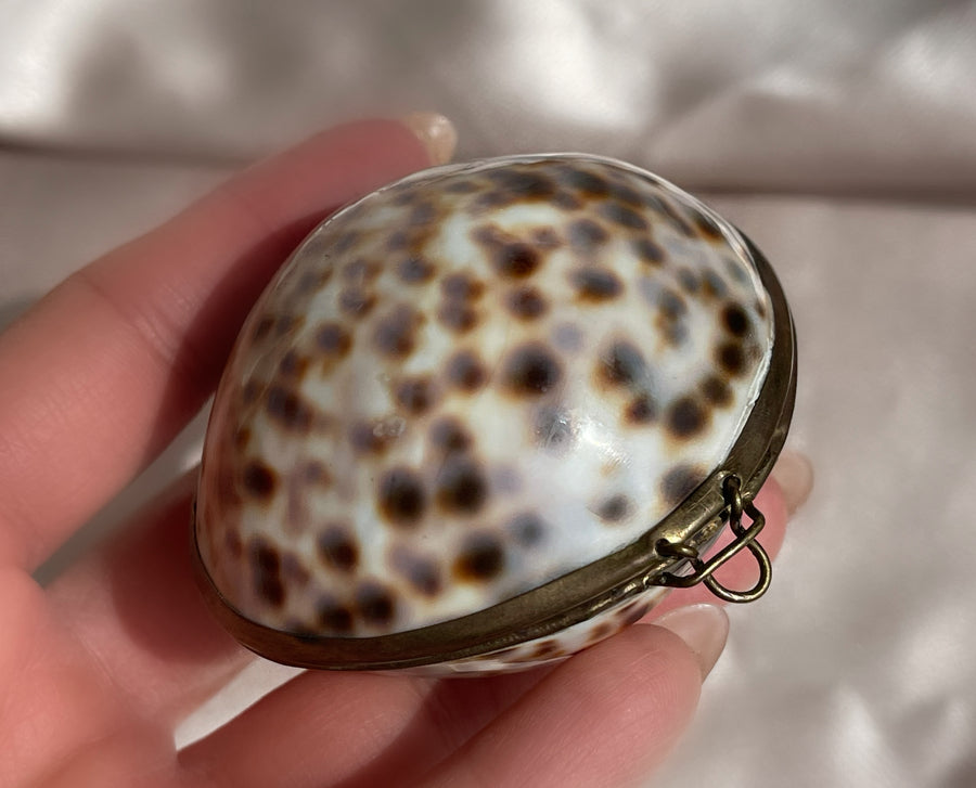 Vintage Cowrie Shell and Brass Jewelry and Keepsake Box